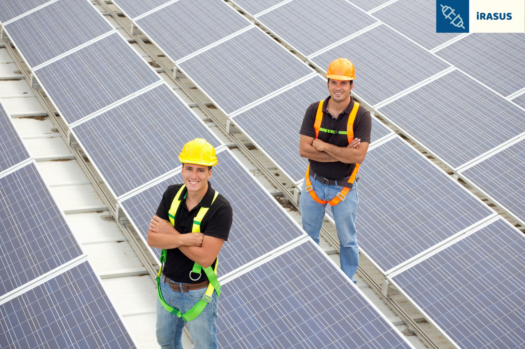 employees posing against renewable energy background
